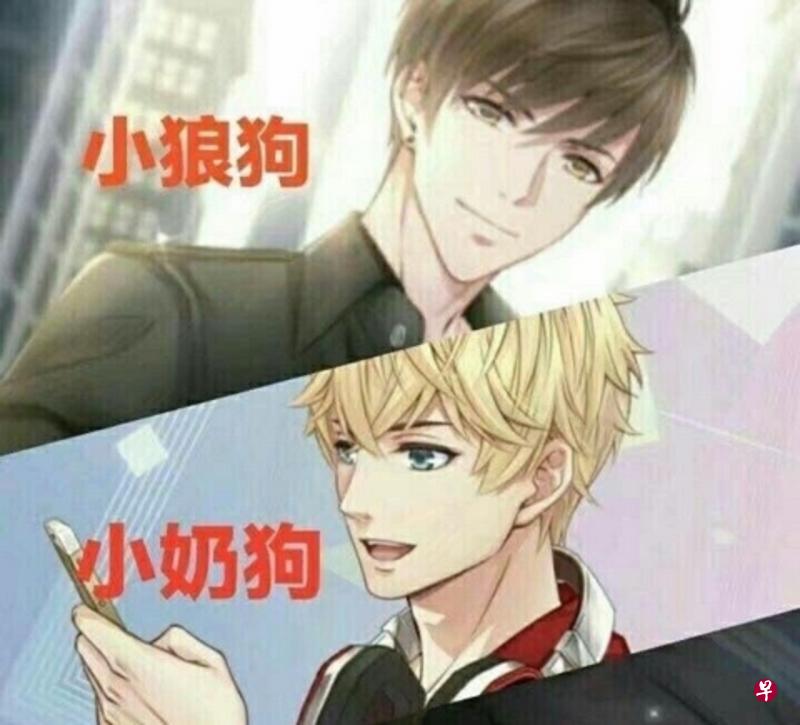 “小狼狗”霸气、主动、具侵略性;“小奶狗”则带着可爱的奴性,乖顺、软萌、爱粘人,千方百计博取女生注意。(互联网) “小狼狗”霸气、主动、具侵略性;“小奶狗”则带着可爱的奴性,乖顺、软萌、爱粘人,千方百计博取女生注意。(互联网)