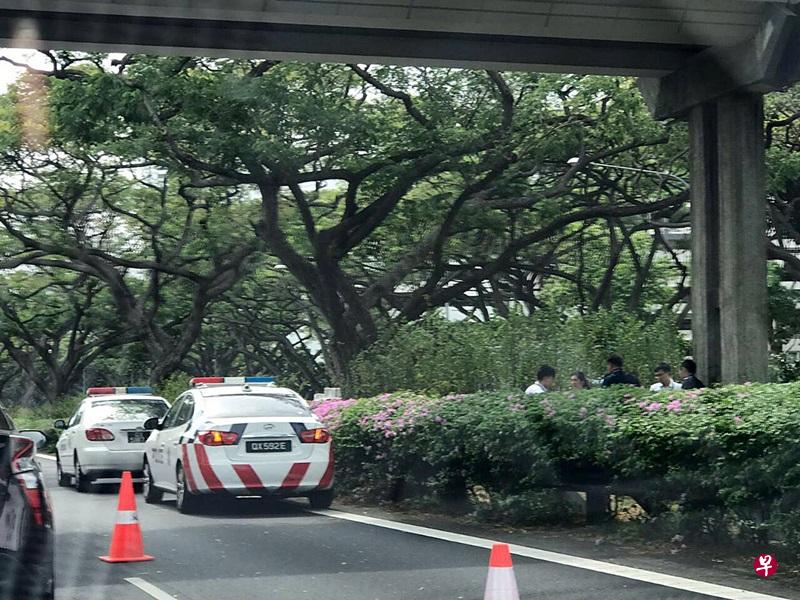 男子跳天桥,坠落在路隔上,惊动警方到场调查。(取自网络) 男子跳天桥,坠落在路隔上,惊动警方到场调查。(取自网络)