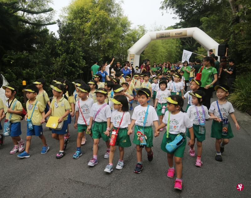 来自馨乐园（Kinderland）托儿中心的孩童手牵手，在新加坡动物园参加步行活动。（林国明摄影）