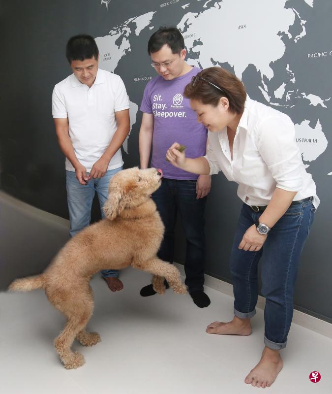 郑集强(中)设立的宠物寄养平台Petbacker,让主人郑敏(左)出国时能放心将爱犬交给保姆冯佩珊(右)照顾。(陈福洲摄) 郑集强(中)设立的宠物寄养平台Petbacker,让主人郑敏(左)出国时能放心将爱犬交给保姆冯佩珊(右)照顾。(陈福洲摄)