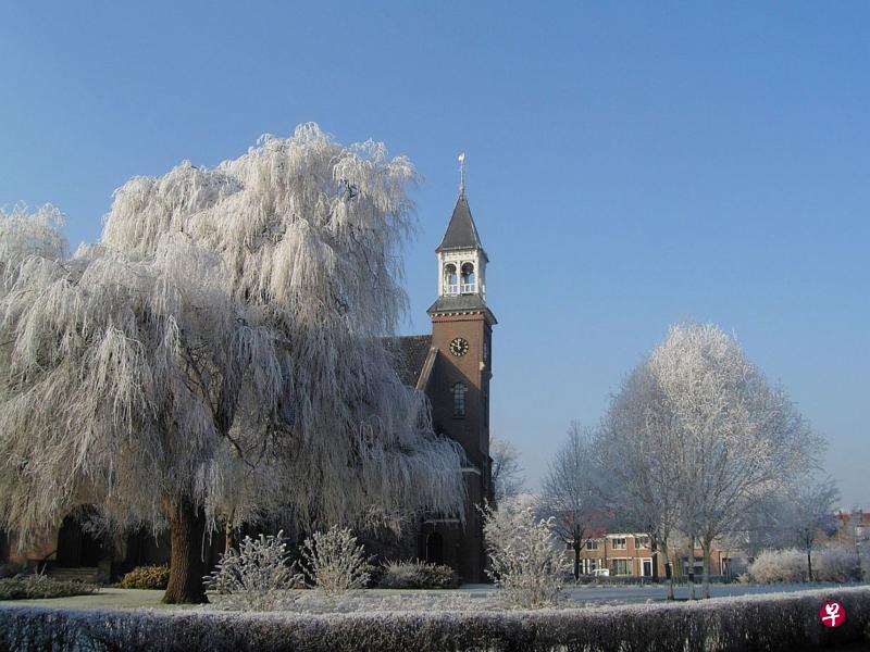 挂雪的枝头,映衬着蓝天下的教堂。 挂雪的枝头,映衬着蓝天下的教堂。