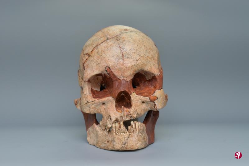 广西文物保护与考古研究所昨天介绍,经过为期三个年度的连续发掘,考古人员在广西隆安娅怀洞遗址,发现距今约1.6万年前的墓葬,以及包括完整头骨在内的人类遗骸。这是继山顶洞人墓葬后在中国发现的第二处旧石器时代墓葬。(中新社) 广西文物保护与考古研究所昨天介绍,经过为期三个年度的连续发掘,考古人员在广西隆安娅怀洞遗址,发现距今约1.6万年前的墓葬,以及包括完整头骨在内的人类遗骸。这是继山顶洞人墓葬后在中国发现的第二处旧石器时代墓葬。(中新社)