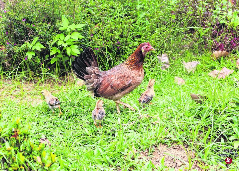 档案照片 档案照片