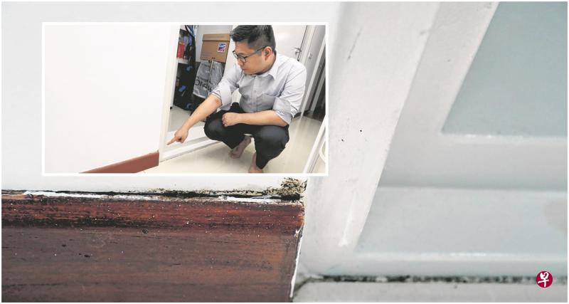 壁脚板处白蚁窝成群，画面相当骇人。（受访者提供） 小图：王鼎崴指出，他在木制壁脚板处接连看见白蚁窝的痕迹。 （摄影/饶进礼）