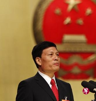 谢伏瞻出任中国社科院院长。(中新社) 谢伏瞻出任中国社科院院长。(中新社)