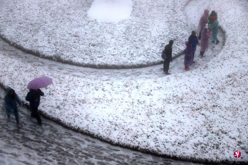 海拔2000多米的河南洛阳老君山4月5日一夜入冬，漫天飞雪，民众登山游玩。（中新社）