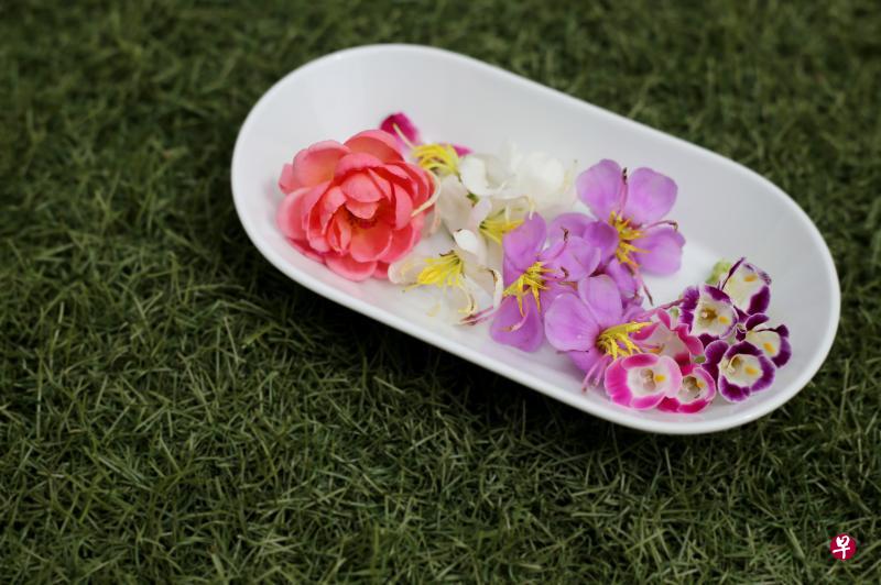 蔡慧莹为顾客采摘的可食花(左起):英国桃玫瑰;白色和粉红野牡丹,以及佛罗里达圆三色槿。 蔡慧莹为顾客采摘的可食花(左起):英国桃玫瑰;白色和粉红野牡丹,以及佛罗里达圆三色槿。