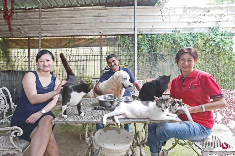 陈爱琳(左起)、莫罕和许海燕都是动物爱好者,为照顾动物福利不遗余力。(梁伟康摄) 陈爱琳(左起)、莫罕和许海燕都是动物爱好者,为照顾动物福利不遗余力。(梁伟康摄)