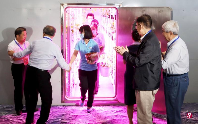 四名志愿者昨天走出月宫一号实验室,手提装着胡萝卜、草莓的篮子,这些蔬果都是舱内耕种的收成。(法新社) 四名志愿者昨天走出月宫一号实验室,手提装着胡萝卜、草莓的篮子,这些蔬果都是舱内耕种的收成。(法新社)
