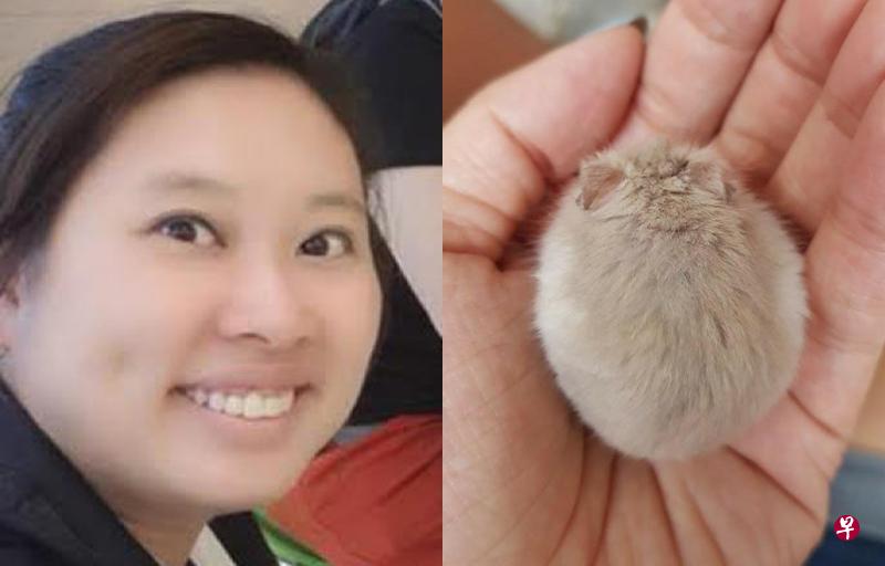 (左图)曾在东陵警署任职的陈瑾珏终年38岁,遗下三名年幼的女儿。(右图)陈瑾珏在社交媒体面簿的头像,是手掌心捧着一只毛绒绒的仓鼠。(取自面簿) (左图)曾在东陵警署任职的陈瑾珏终年38岁,遗下三名年幼的女儿。(右图)陈瑾珏在社交媒体面簿的头像,是手掌心捧着一只毛绒绒的仓鼠。(取自面簿)
