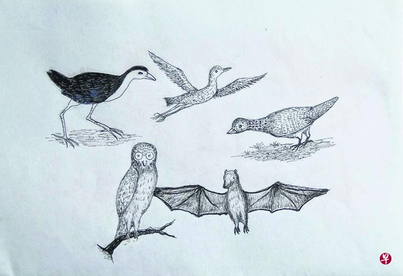 作者童年尝过的各种野味。 作者童年尝过的各种野味。