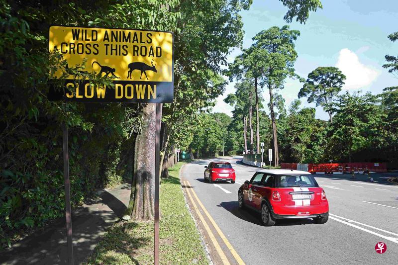 万礼湖路沿途都设有指示牌,提醒驾车人士放慢速度以防有动物过马路。(档案照) 万礼湖路沿途都设有指示牌,提醒驾车人士放慢速度以防有动物过马路。(档案照)
