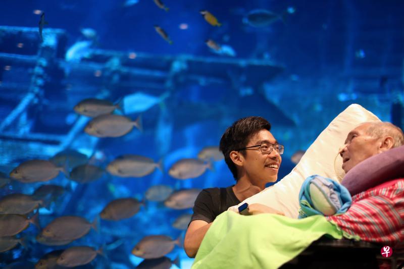 林寿根的主要看护者是他的小儿子林俊杰,在zaobao.sg视频节目《完成一个梦》的帮助下,林俊杰上个月带父亲到S.E.A海洋馆散心。(谢智扬摄) 林寿根的主要看护者是他的小儿子林俊杰,在zaobao.sg视频节目《完成一个梦》的帮助下,林俊杰上个月带父亲到S.E.A海洋馆散心。(谢智扬摄)