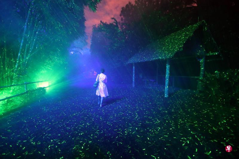 动物园与多媒体娱乐工作室Moment Factory合作,推出崭新夜行景点“幻光雨林之夜”(Rainforest Lumina)。(陈来福摄) 动物园与多媒体娱乐工作室Moment Factory合作,推出崭新夜行景点“幻光雨林之夜”(Rainforest Lumina)。(陈来福摄)