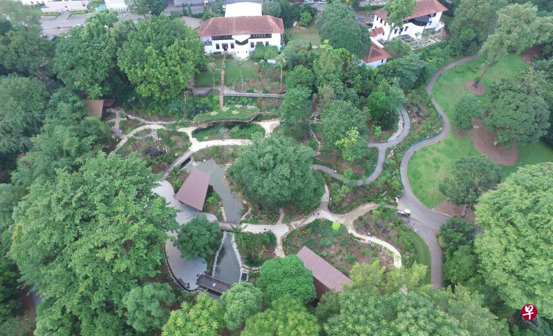 位于新加坡植物园的民俗植物园今天正式开幕。(照片来源:国家公园局) 位于新加坡植物园的民俗植物园今天正式开幕。(照片来源:国家公园局)