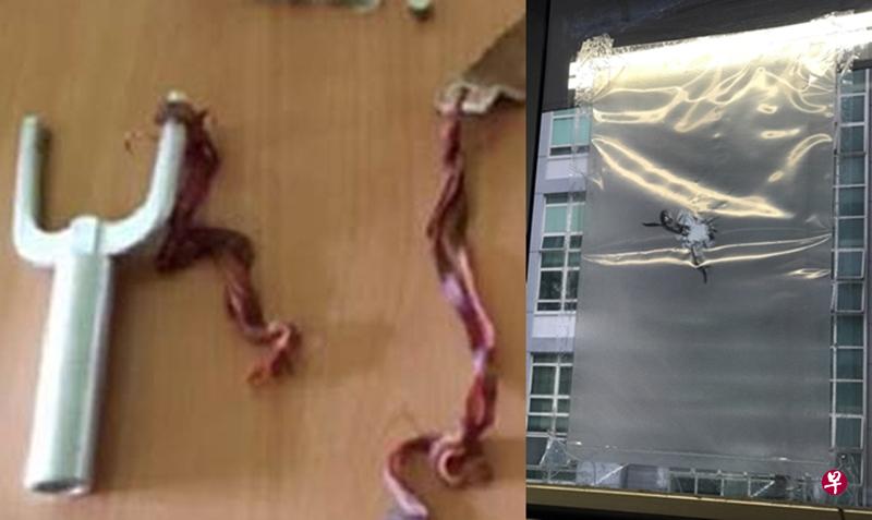 阿叔疑使用弹弓弹珠射鸟。(警方提供) 阿叔疑使用弹弓弹珠射鸟。(警方提供)