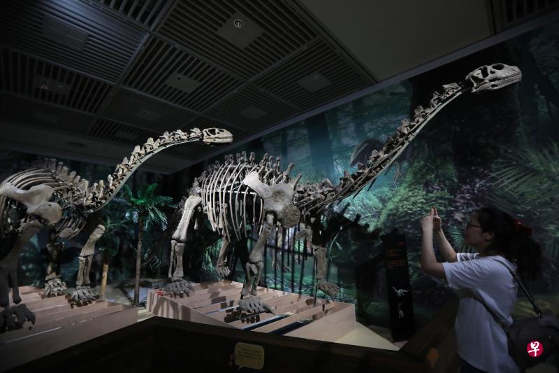 南京博物馆举办“称霸侏罗纪——我是一只威猛的恐龙”化石展。(新华社) 南京博物馆举办“称霸侏罗纪——我是一只威猛的恐龙”化石展。(新华社)