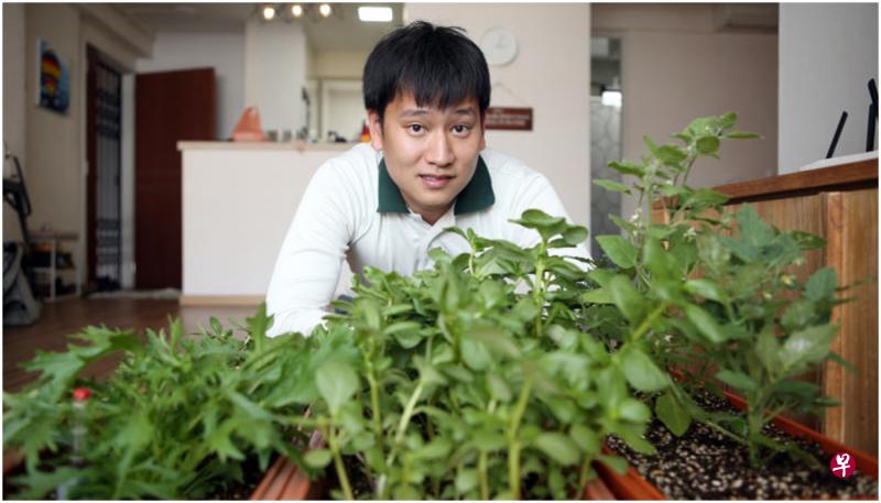 翁明德这两年陆续在家种植超过20种蔬果,他最常种的就是上图中可做成沙拉的绿叶菜。 翁明德这两年陆续在家种植超过20种蔬果,他最常种的就是上图中可做成沙拉的绿叶菜。