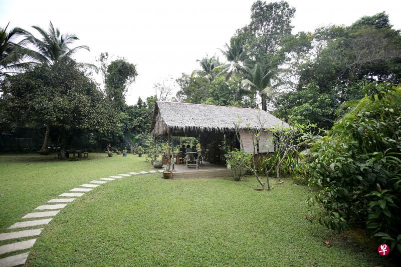 男主人家用一块块石板铺成的路,通向幽林中的茶寮。 男主人家用一块块石板铺成的路,通向幽林中的茶寮。