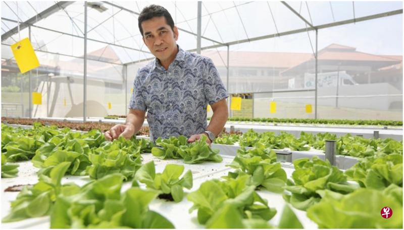 资深临床护士阿兹(小图)带领30名长期住院者种菜,作为治疗与培训。菜园种植各种蔬菜包括菜心、奶油生菜和红橡生菜等。(徐颖荃摄) 资深临床护士阿兹(小图)带领30名长期住院者种菜,作为治疗与培训。菜园种植各种蔬菜包括菜心、奶油生菜和红橡生菜等。(徐颖荃摄)
