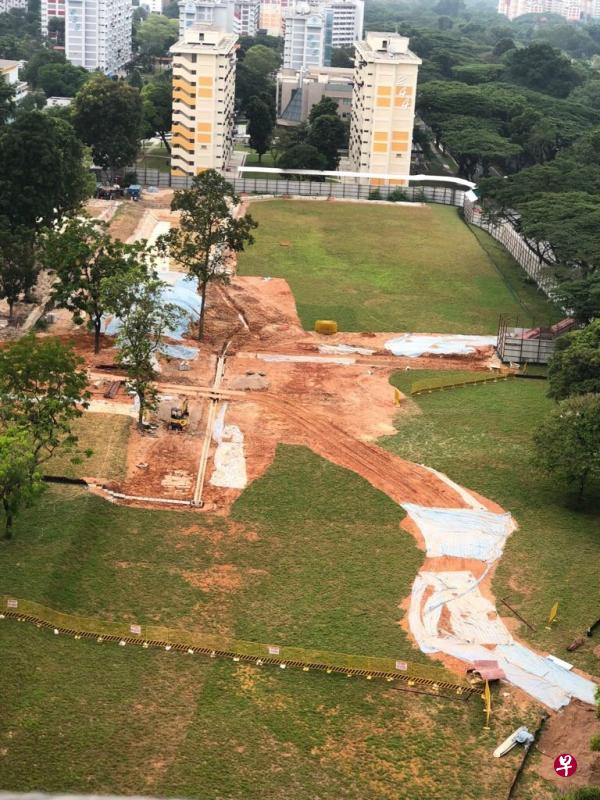 住家附近进行组屋整体重建计划,果实累累的人心果树一一被推倒。(读者提供) 住家附近进行组屋整体重建计划,果实累累的人心果树一一被推倒。(读者提供)