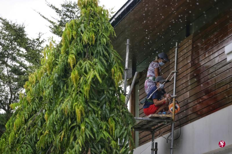 潘丽蓉的两名女佣站在自己搭建的鹰架上,为木墙打磨、上清漆和油漆。(档案照片) 潘丽蓉的两名女佣站在自己搭建的鹰架上,为木墙打磨、上清漆和油漆。(档案照片)