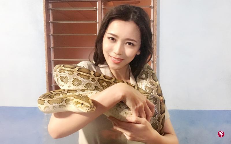 黄彩玲不怕蛇,还将蟒蛇绕在颈间。(嘉华提供) 黄彩玲不怕蛇,还将蟒蛇绕在颈间。(嘉华提供)