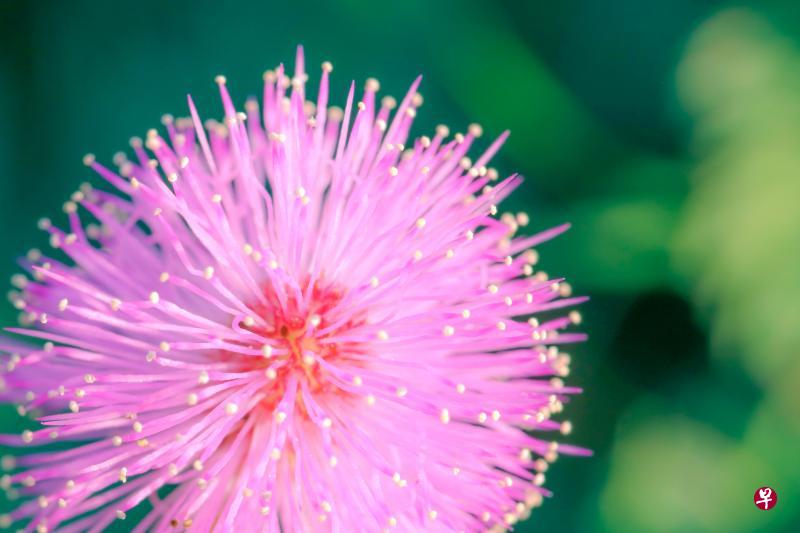 (iStock图片) (iStock图片)