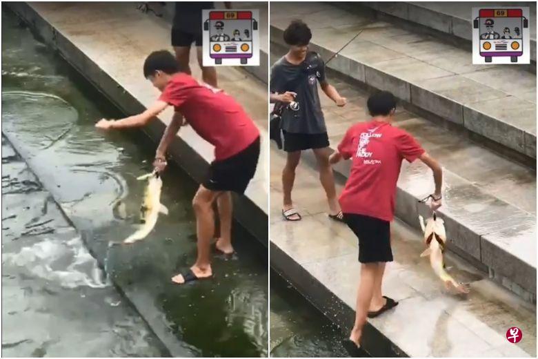 身穿红色上衣、短裤和拖鞋的少年,整个人踩进水里,用铁钩一把将一条大鱼钩起。(取自面簿) 身穿红色上衣、短裤和拖鞋的少年,整个人踩进水里,用铁钩一把将一条大鱼钩起。(取自面簿)