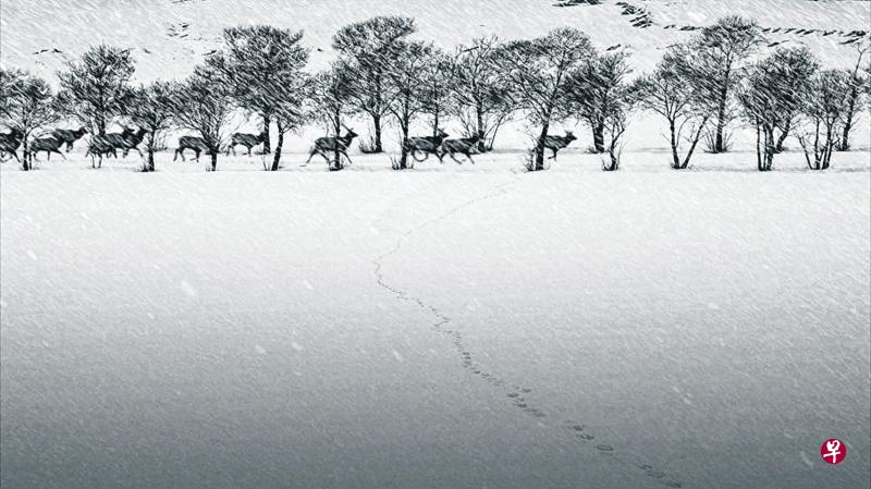 《廿四格》将简单根基建立于摄影与电影、静止与运动的辩证关系。(取自www.imdb.com) 《廿四格》将简单根基建立于摄影与电影、静止与运动的辩证关系。(取自www.imdb.com)