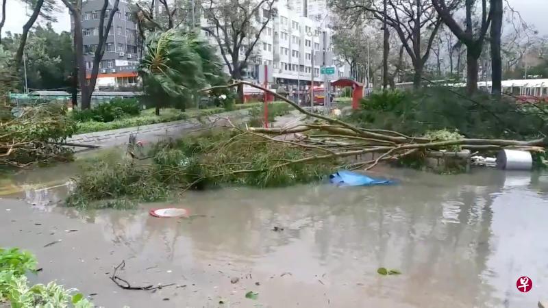 “山竹”昨天直袭香港和澳门,影响往返本地与香港等地的航班。(路透社) “山竹”昨天直袭香港和澳门,影响往返本地与香港等地的航班。(路透社)