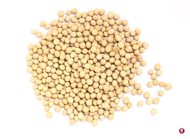 黄豆好处多,但并非人人适合吃。(档案照) 黄豆好处多,但并非人人适合吃。(档案照)