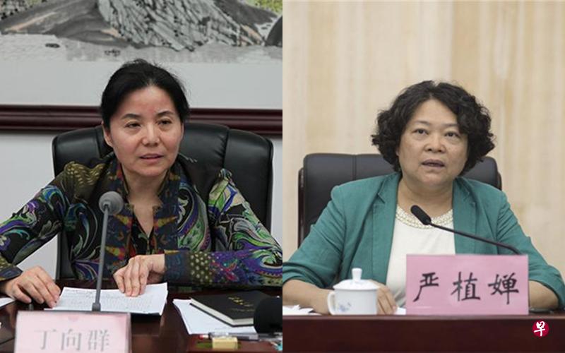 丁向群(左)和严植婵在一年多时间里,都连续换了三个岗位,这在中国为数不多的女性副部级高官中十分亮眼。(互联网) 丁向群(左)和严植婵在一年多时间里,都连续换了三个岗位,这在中国为数不多的女性副部级高官中十分亮眼。(互联网)