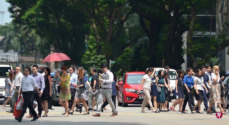 《2018年人口简报》显示本地单身者比率越来越高。(海峡时报) 《2018年人口简报》显示本地单身者比率越来越高。(海峡时报)