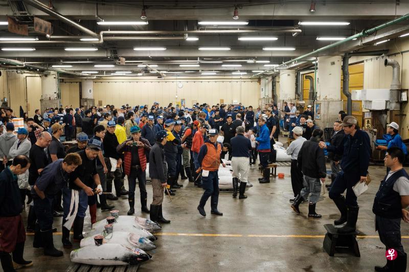 在最后一天的拍卖活动中,一尾162公斤重金枪鱼以438万5000日元成交价,为筑地鱼市场的营业画上句点。(法新社) 在最后一天的拍卖活动中,一尾162公斤重金枪鱼以438万5000日元成交价,为筑地鱼市场的营业画上句点。(法新社)