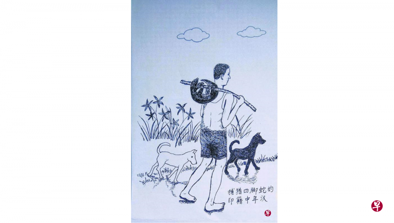 印度中年人用树枝叉起四脚蛇扛在肩上。 印度中年人用树枝叉起四脚蛇扛在肩上。