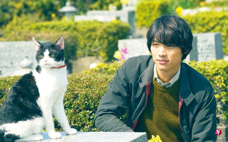 福士苍汰坦承在户外拍摄时,很担心猫主角奈奈会跑掉。(Filmgarde提供) 福士苍汰坦承在户外拍摄时,很担心猫主角奈奈会跑掉。(Filmgarde提供)