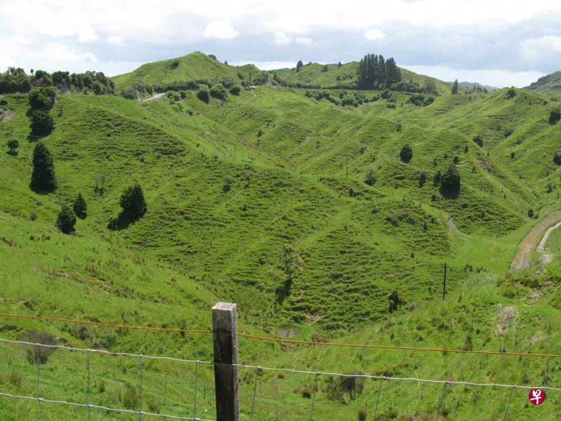 43号公路两旁可见的马鞍山脊。 43号公路两旁可见的马鞍山脊。