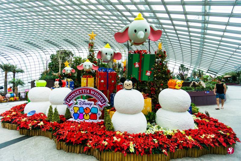 滨海湾花园花穹以多彩的圣诞红和迪士尼玩偶“松松”迎接圣诞。(滨海湾花园提供) 滨海湾花园花穹以多彩的圣诞红和迪士尼玩偶“松松”迎接圣诞。(滨海湾花园提供)