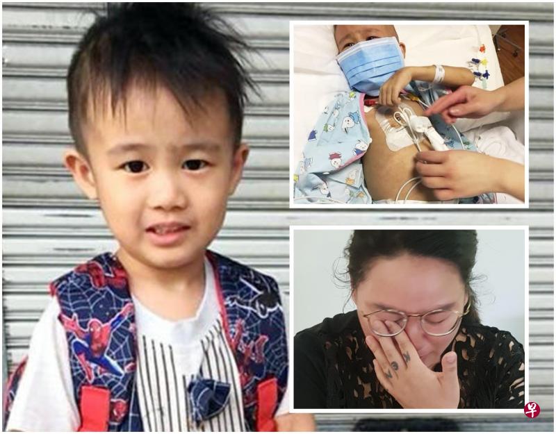 游梓彬(左图)患病前活泼可爱,目前接受化疗,身上插满管子;母亲(右下图)谈到儿子病情落泪。(吴伟国摄) 游梓彬(左图)患病前活泼可爱,目前接受化疗,身上插满管子;母亲(右下图)谈到儿子病情落泪。(吴伟国摄)