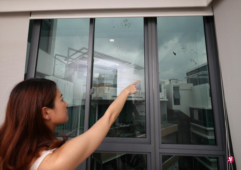 王女士说,斜对面的女邻居多番骚扰,半年前还开始向她窗户抛来黑色污秽物,令她苦不堪言。(林泽锐摄) 王女士说,斜对面的女邻居多番骚扰,半年前还开始向她窗户抛来黑色污秽物,令她苦不堪言。(林泽锐摄)