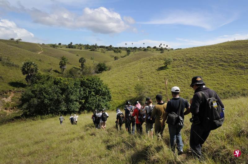 ▲科摩多国家公园每年都迎来成千上万的游客,为的是一睹别的地方看不到的科摩多巨蜥。这种动物是目前世上最大的蜥蜴。(法新社) ▲科摩多国家公园每年都迎来成千上万的游客,为的是一睹别的地方看不到的科摩多巨蜥。这种动物是目前世上最大的蜥蜴。(法新社)