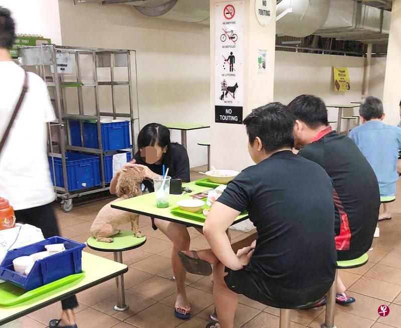 有女郎被拍到携爱犬到黄金熟食中心用餐，网上引发热议。（取自网络）