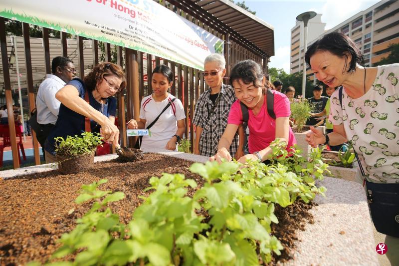 首个设在组屋区的康疗花园昨天在武吉巴督西2道开幕,该区居民今后可通过园艺活动联络感情,花园也将发挥疗愈效果,协助年长或失智居民调理健康问题。(林国明摄) 首个设在组屋区的康疗花园昨天在武吉巴督西2道开幕,该区居民今后可通过园艺活动联络感情,花园也将发挥疗愈效果,协助年长或失智居民调理健康问题。(林国明摄)