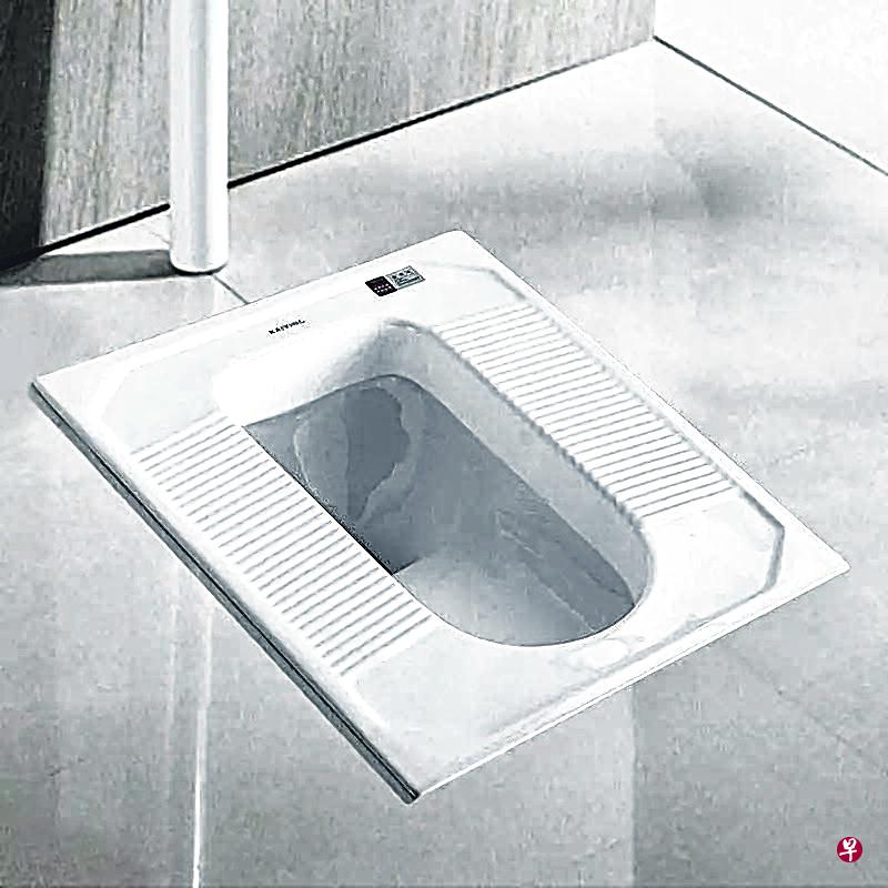 有专家说蹲式马桶比坐式马桶卫生。(互联网) 有专家说蹲式马桶比坐式马桶卫生。(互联网)