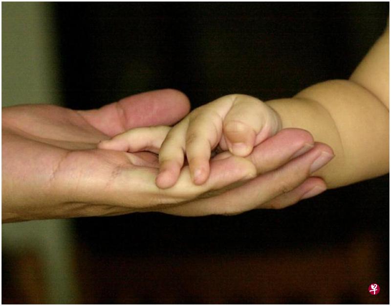 (示范图) (示范图)