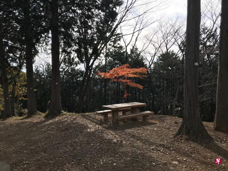 东京近郊御岳山(Mitakesan)见晴台,2018年秋。(赵琬仪摄影) 东京近郊御岳山(Mitakesan)见晴台,2018年秋。(赵琬仪摄影)