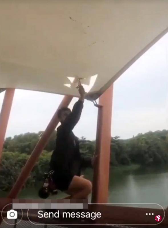 少年前天在罗弄哈鲁士湿地的行人桥上,用美工刀割破行人桥的顶篷,如今被警方传召调查。(取自面簿) 少年前天在罗弄哈鲁士湿地的行人桥上,用美工刀割破行人桥的顶篷,如今被警方传召调查。(取自面簿)