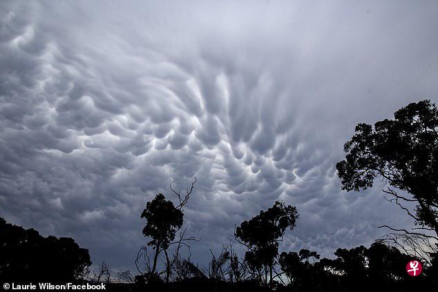 不少澳洲居民在社交媒体上载“乳状云”的奇观,这些云看起来就像覆盖在天空上的厚毯子,成块状向中央聚集。(取自面簿) 不少澳洲居民在社交媒体上载“乳状云”的奇观,这些云看起来就像覆盖在天空上的厚毯子,成块状向中央聚集。(取自面簿)