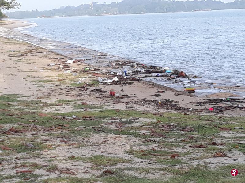 樟宜海滩积累了很多垃圾。(读者提供) 樟宜海滩积累了很多垃圾。(读者提供)